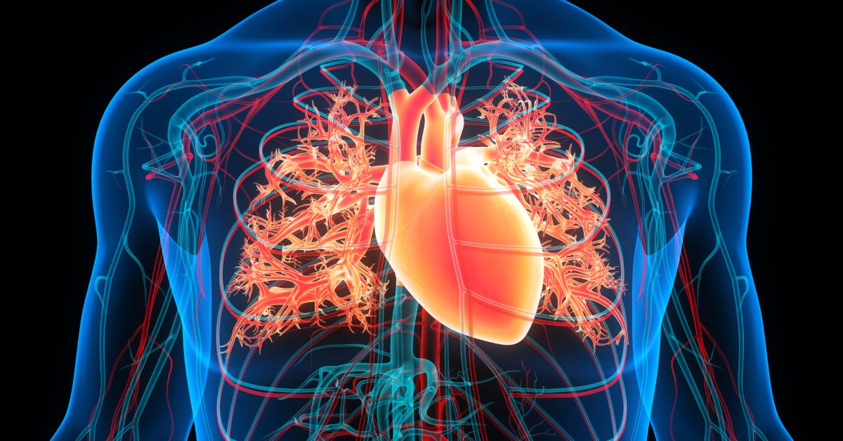 DEEPVESSEL Fractional Flow Reserve: innovazione nella diagnostica coronarica