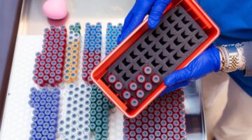 LaboratorioCidimu5
