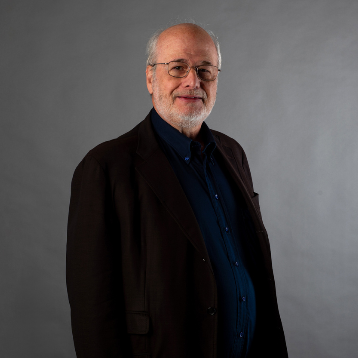 Foto cv Domenico Bertero